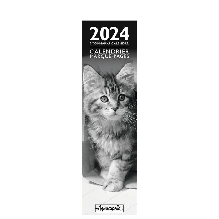 Calendriers 2023-2024 – Le blog de Chat noir
