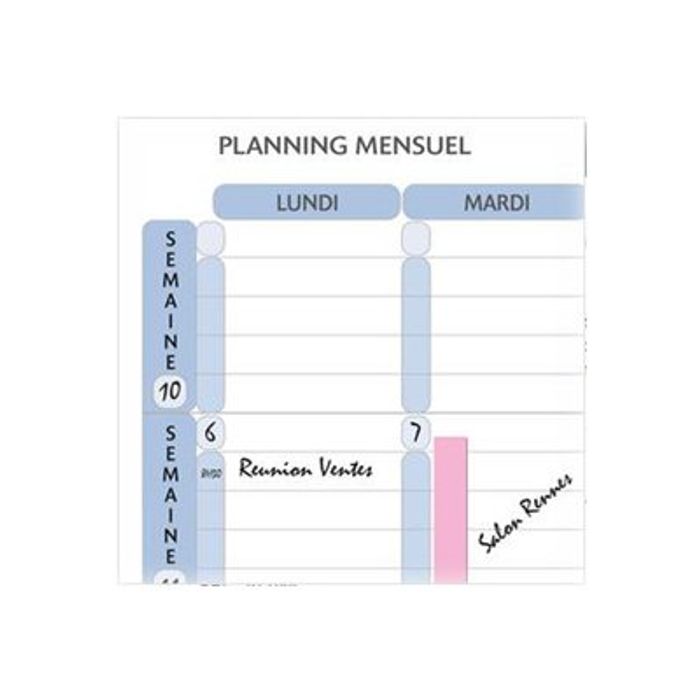 Planning mensuel perpétuel effaçable - 90 x 60 cm