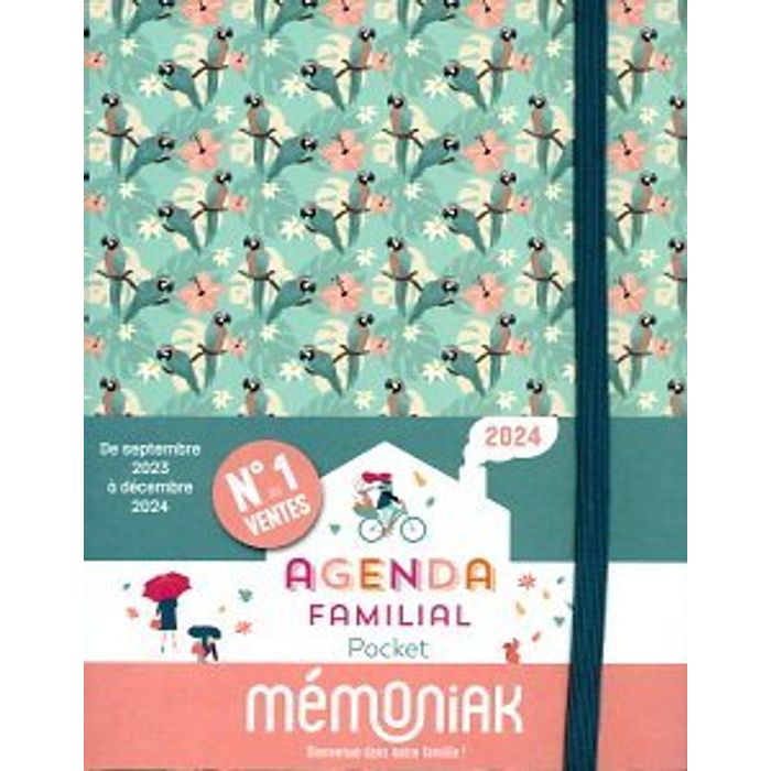 Agenda familial Mémoniak 2016-2017 (French Edition): Collectif, Editions  365: 9782351557624: : Books