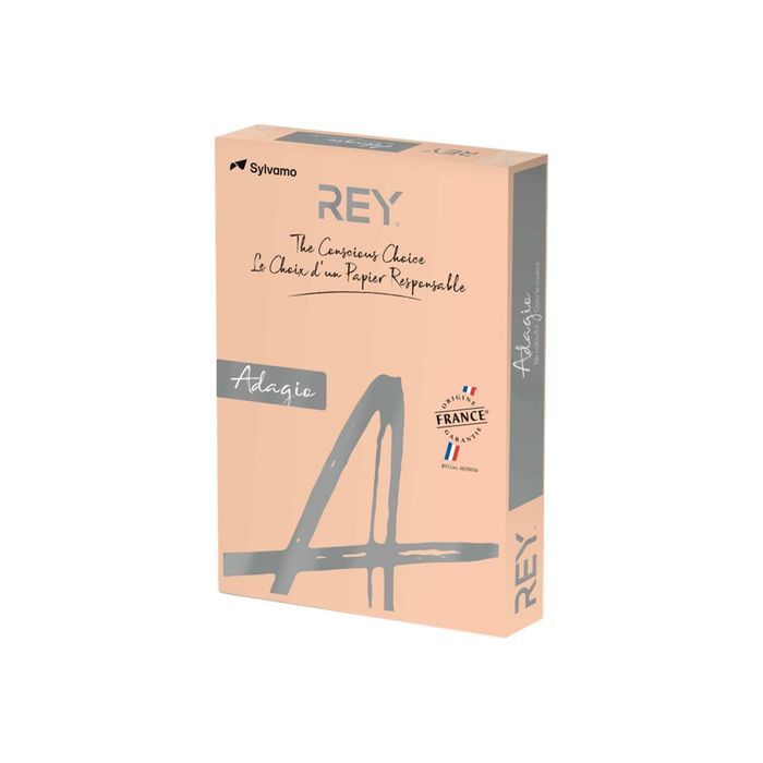 3368220137317-Rey Adagio - Papier couleur - A3 (297 x 420 mm) - 80 g/m² - Ramette de 500 feuilles - chamo-Angle droit-0