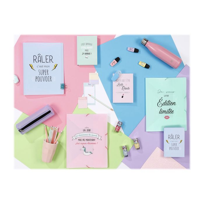 Agenda Mr Wonderful Mon jour - 1 jour par page - 12 x 17 cm - Viquel Pas  Cher