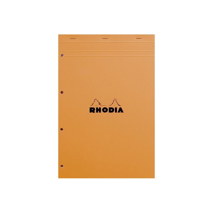 Rhodia Basics - Bloc notes - A4 + - 160 pages - petits carreaux