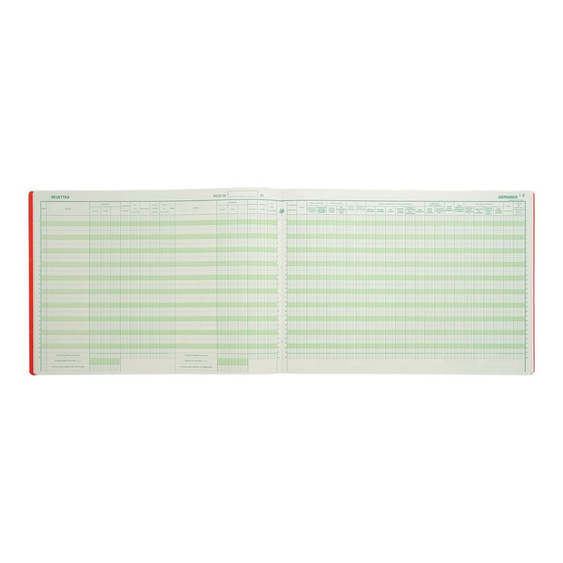 3130632096205-Exacompta - Registre des recettes/dépenses pour professions libérales - 27 x 38 cm - 80 pages-P_713_4-3