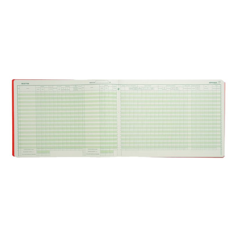 3130632096502-Exacompta - Registre des recettes/dépenses pour associations - 25 x 38 cm-P_965_2-1