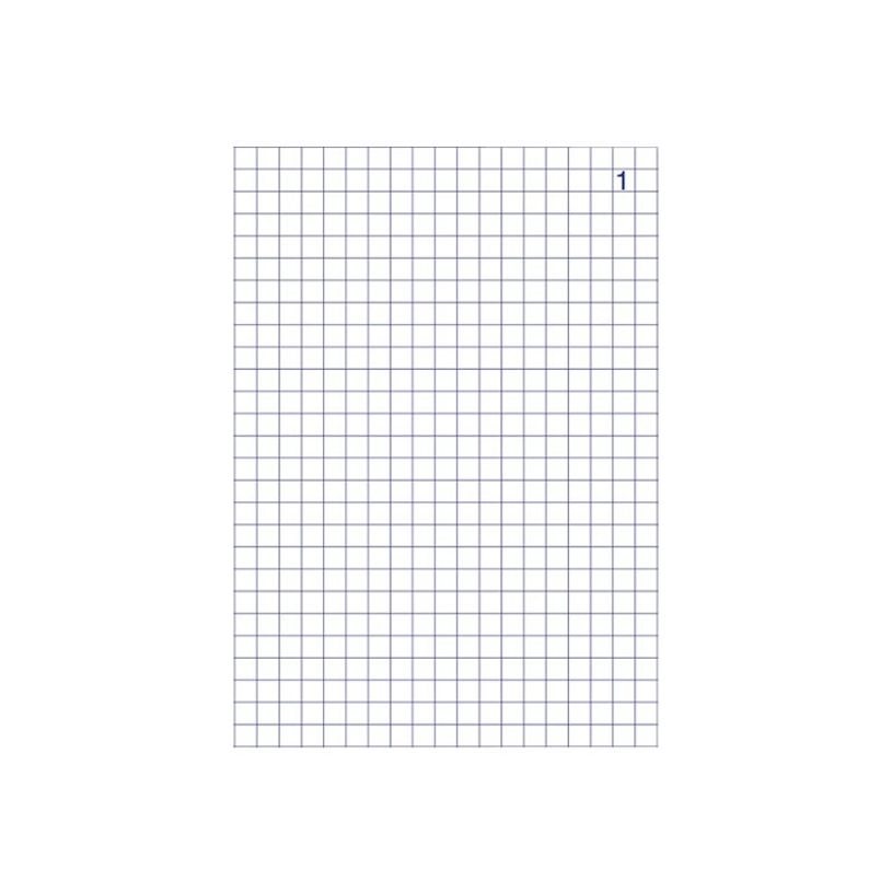 3416790021298-ELVE - Manifold quadrillé 5x5 - 50 dupli - 14,8 x 10,5 cm-P_2129_1-0