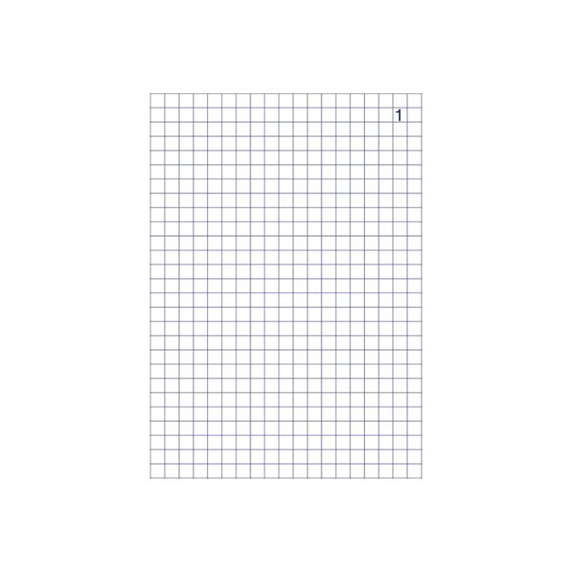 3416790021335-ELVE - Manifold quadrillé 5x5 - 50 dupli - 21 x 14 cm-P_2133_2-1