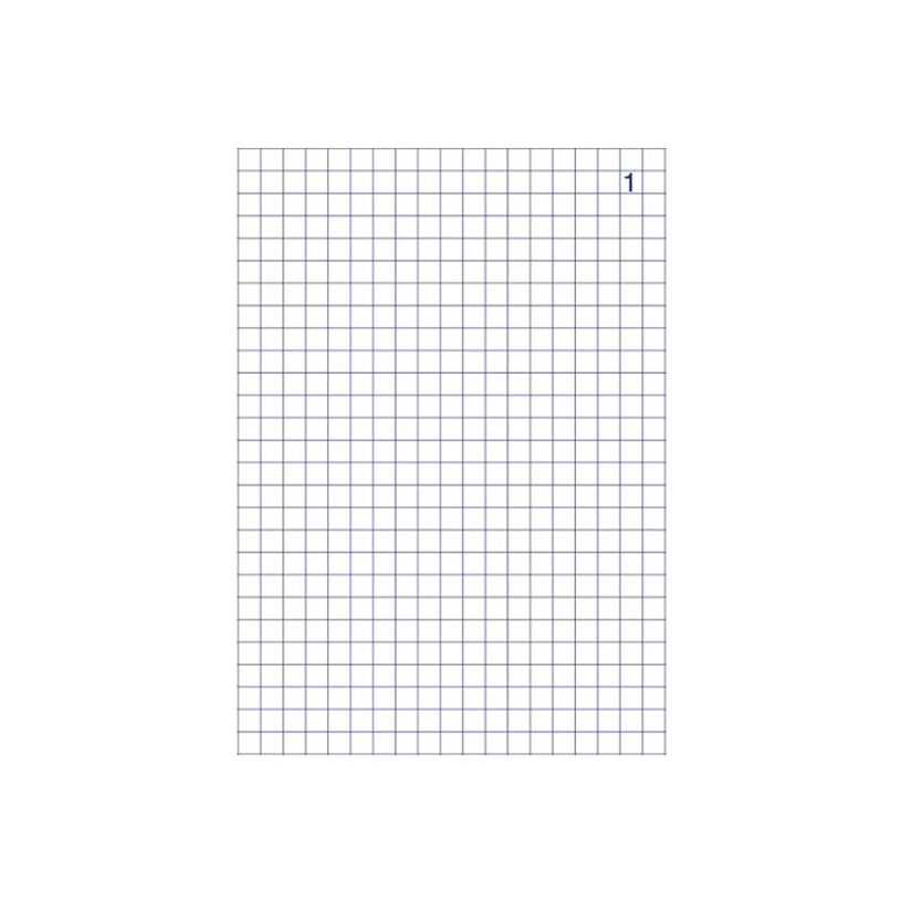 3416790021342-ELVE - Manifold quadrillé 5x5 - 50 tripli - 14,8 x 21 cm-P_2134_1-1