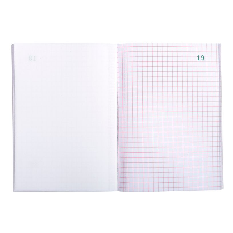 3130632032401-Exacompta - 10 Manifolds quadrillés 5x5 - 50 dupli - 14,8 x 10,5 cm-P_3240_4-1