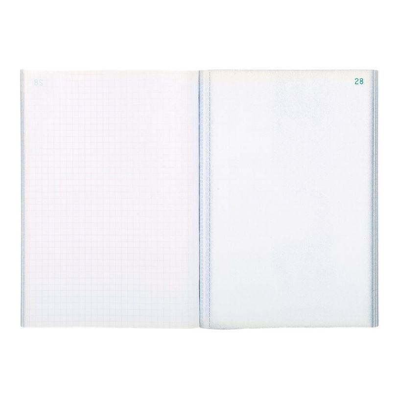 3130632032500-Exacompta - 10 Manifolds quadrillés 5x5 - 50 dupli - A5-P_3250_5-2