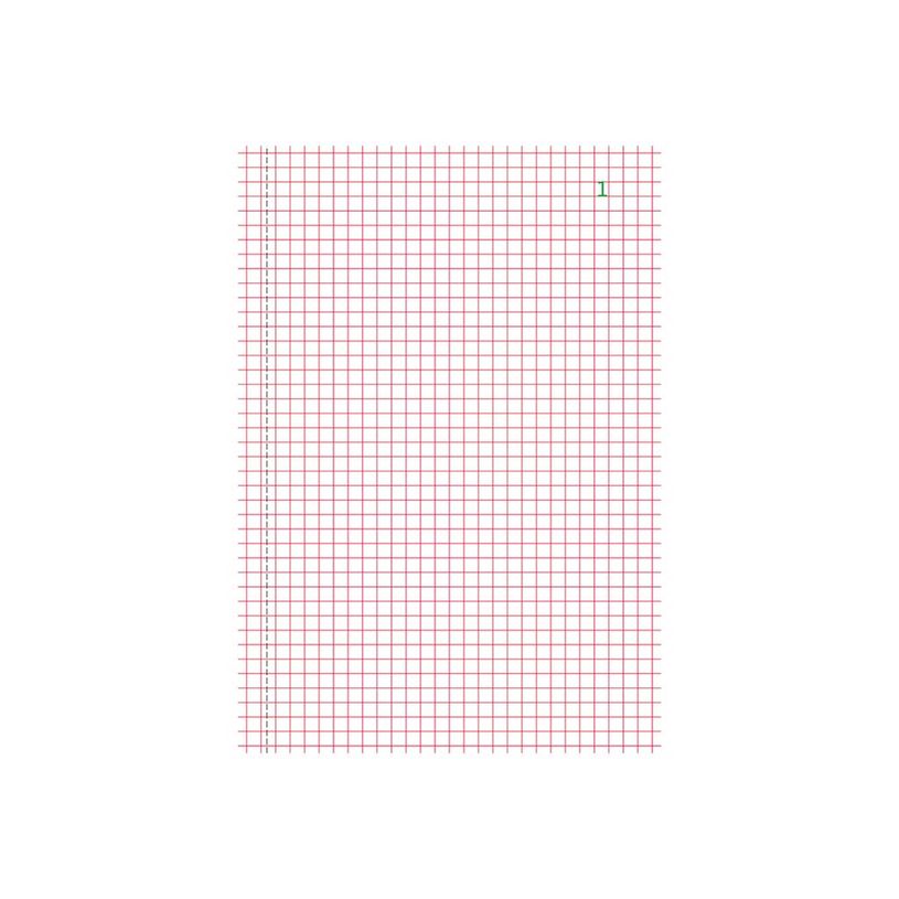 3130632032500-Exacompta - 10 Manifolds quadrillés 5x5 - 50 dupli - A5-P_3250_6-3