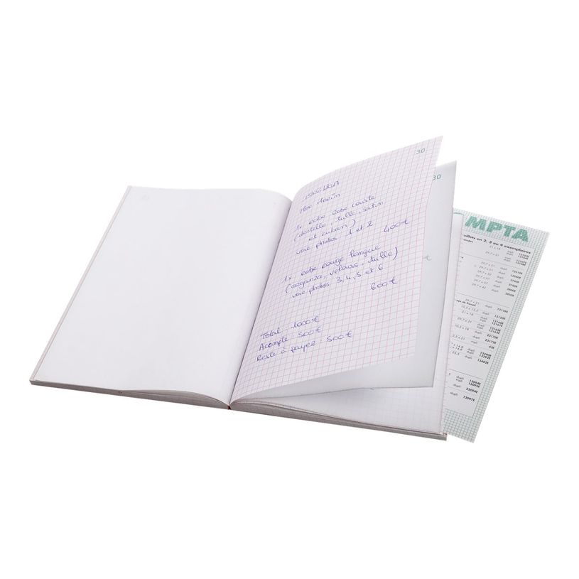 3130632032517-Exacompta - 10 Manifolds quadrillés 5x5 - 50 tripli - 21 x 15 cm-P_3251_4-1