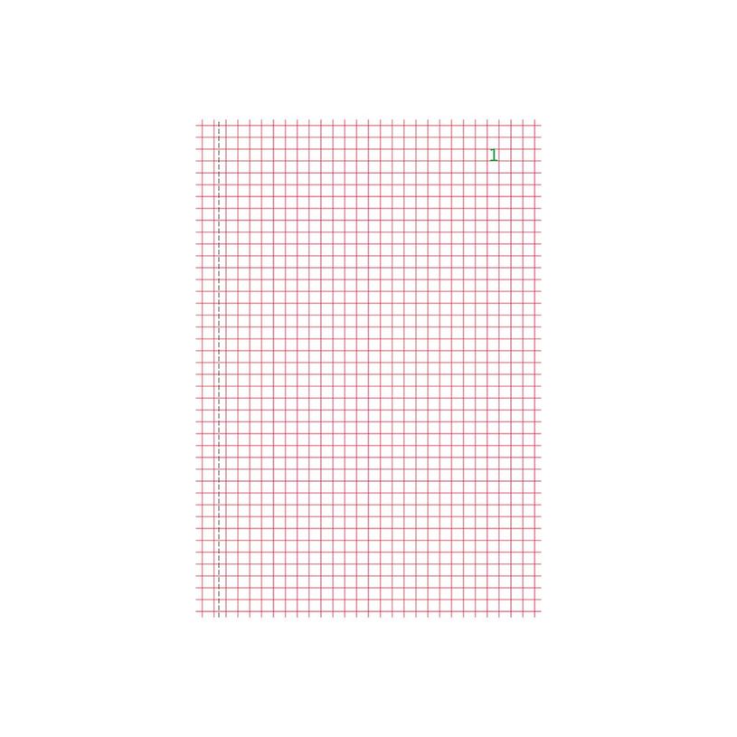 3130632032517-Exacompta - 10 Manifolds quadrillés 5x5 - 50 tripli - 21 x 15 cm-P_3251_6-3