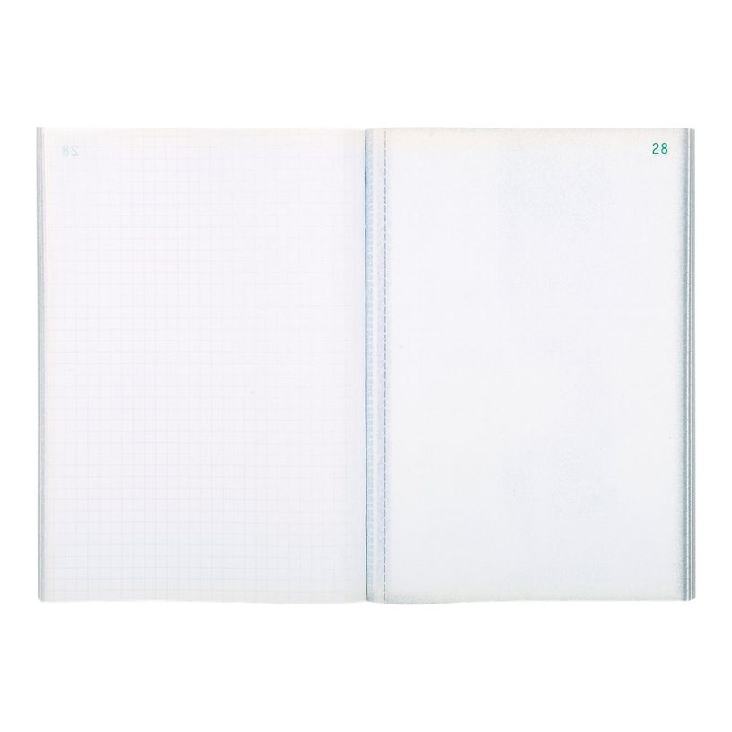 3130632032517-Exacompta - 10 Manifolds quadrillés 5x5 - 50 tripli - 21 x 15 cm-P_3251_7-4