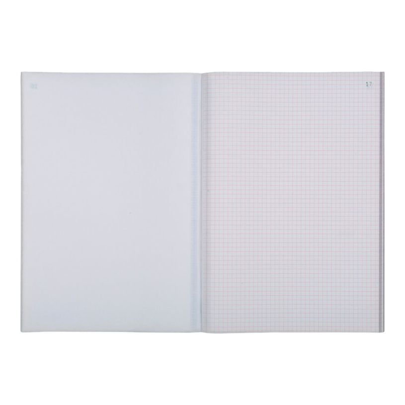 3130632033019-Exacompta - 5 Manifolds quadrillés 5x5 - 50 tripli - A4-P_3301_6-3