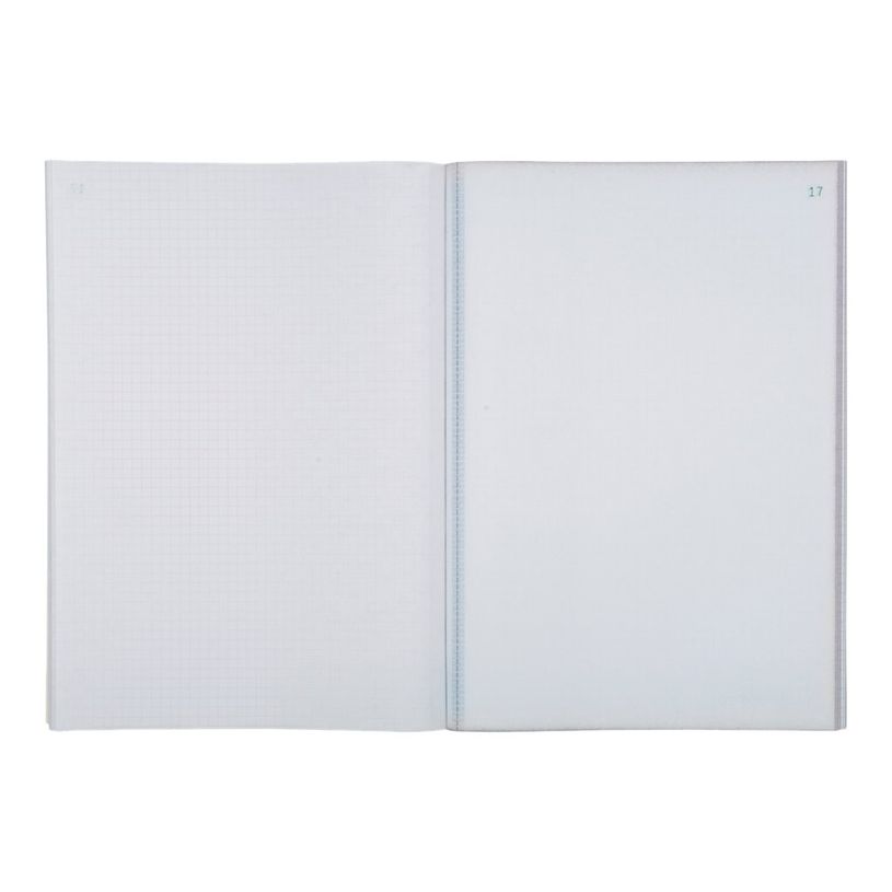 3130632033019-Exacompta - 5 Manifolds quadrillés 5x5 - 50 tripli - A4-P_3301_7-4