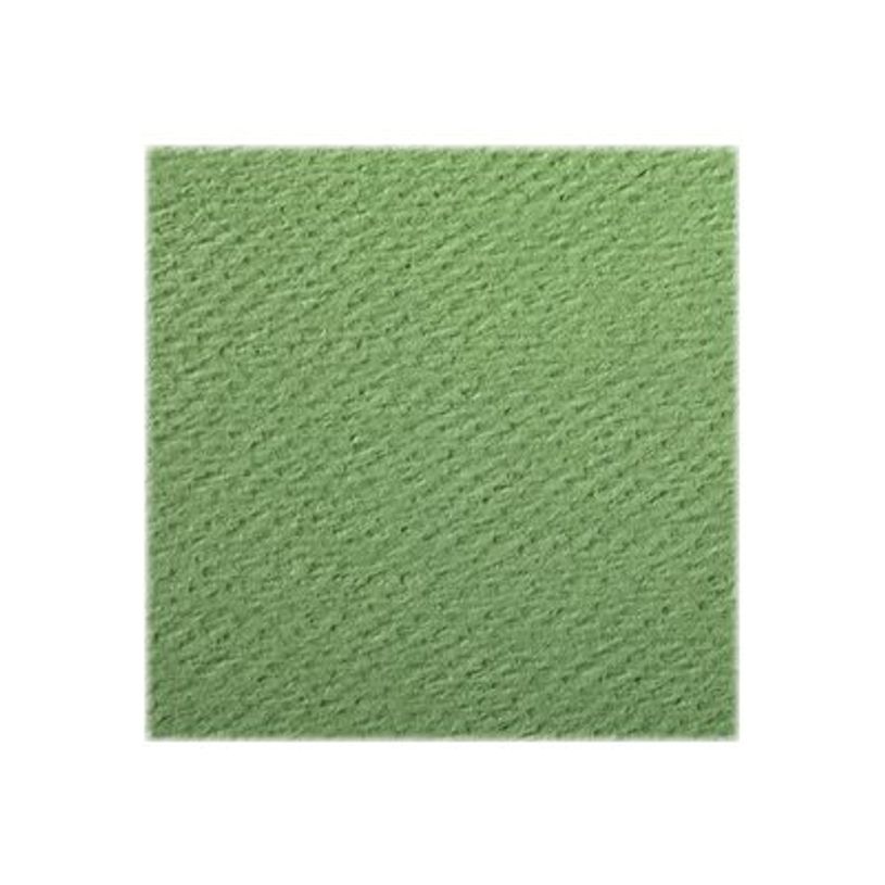 3329680937961-Clairefontaine - Papier dessin couleur à grain - feuille 50 x 65 cm - vert pomme-P_3796_2-1