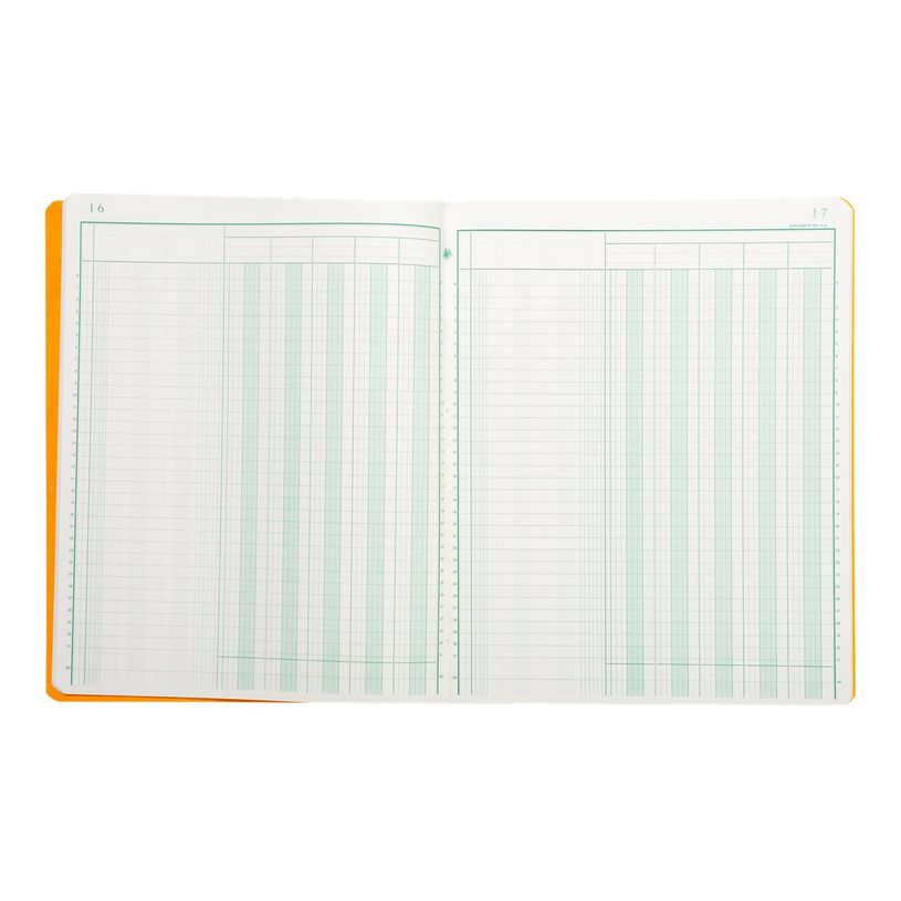 3130632040505-Exacompta - Piqûre comptable - 5 colonnes par page - 32 x 25 cm - 80 pages-P_4050_3-2