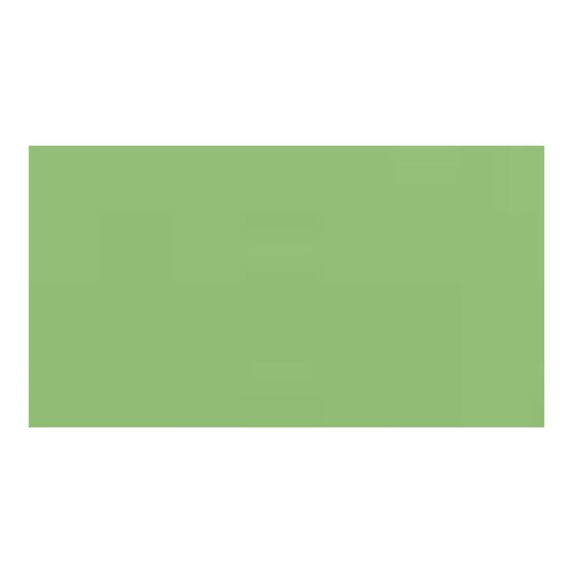 3148950401717-Canson Iris Vivaldi - Papier - A4 - vert pomme - 185 g/m²-P_4254_2-2