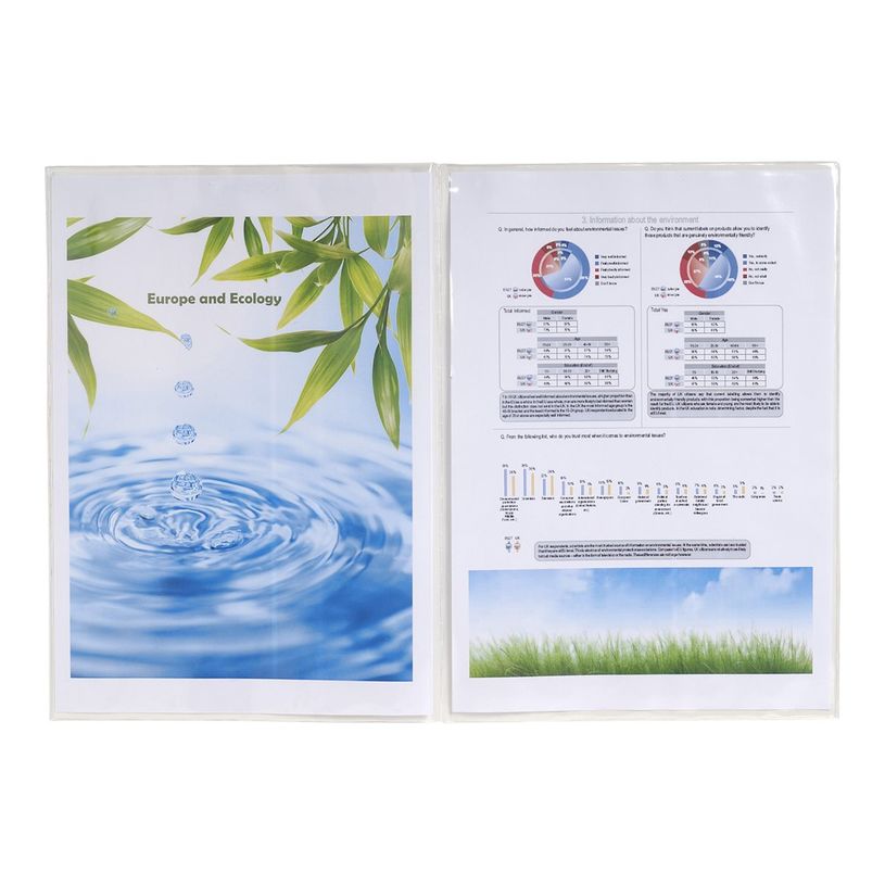 3130630053811-Exacompta - Pochette de protection - A4 double - translucide incolore-P_5381_2-1