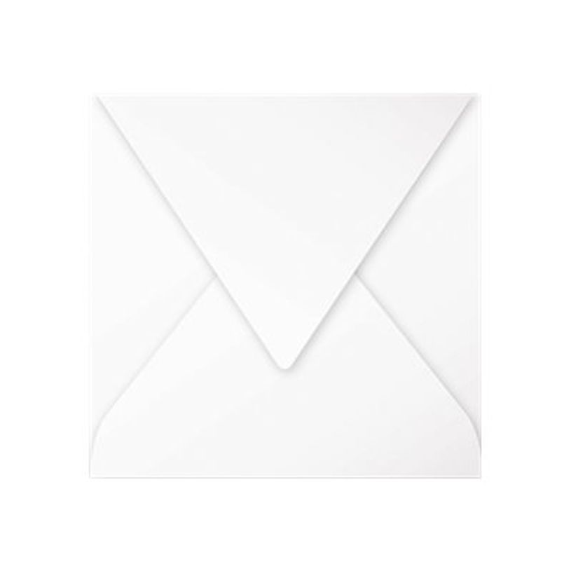 3329680543308-Pollen - 20 Enveloppes - 165 x 165 mm - 120 g/m² - blanc-P_5433_1-0