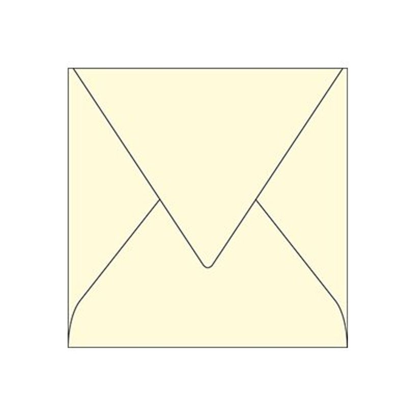 3329680543803-Pollen - 20 Enveloppes - 140 x 140 mm - 120 g/m² - ivoire-P_5438_1-0