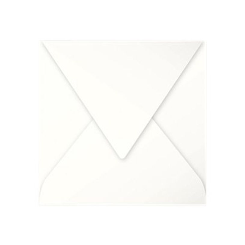 3329680544305-Pollen - 20 Enveloppes - 165 x 165 mm - 120 g/m² - ivoire-P_5443_1-0