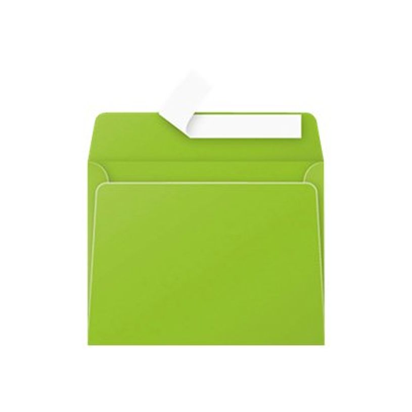 3329680554106-Pollen - 20 Enveloppes - 90 x 140 mm - 120 g/m² - vert menthe-P_5541_1-0
