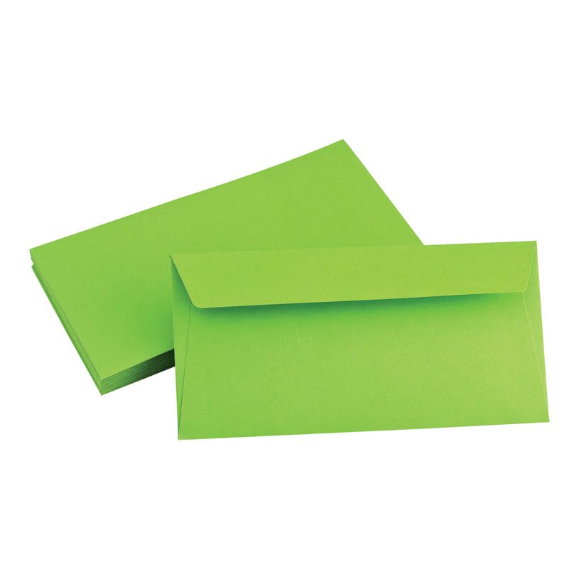 3329680554502-Pollen - 20 Enveloppes - 110 x 220 mm - 120 g/m² - menthe-P_5545_2-1