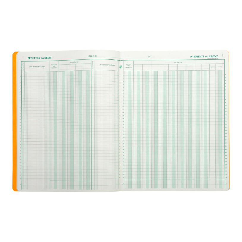 3130632065102-Exacompta - Journal de caisse ou banque - 13 colonnes : 9 débits/4 crédits - 32 x 25 cm verti-P_6510_2-1