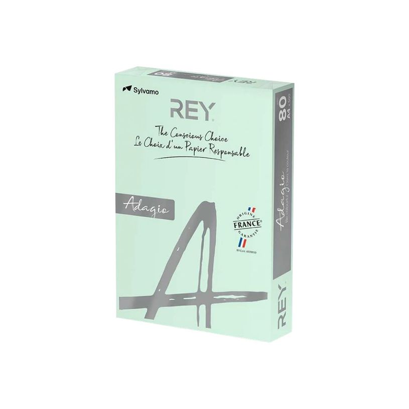 3368220103022-Rey Adagio - Papier couleur - A4 (210 x 297 mm) - 80 g/m² - Ramette de 500 feuilles - vert-P_12236_1-0