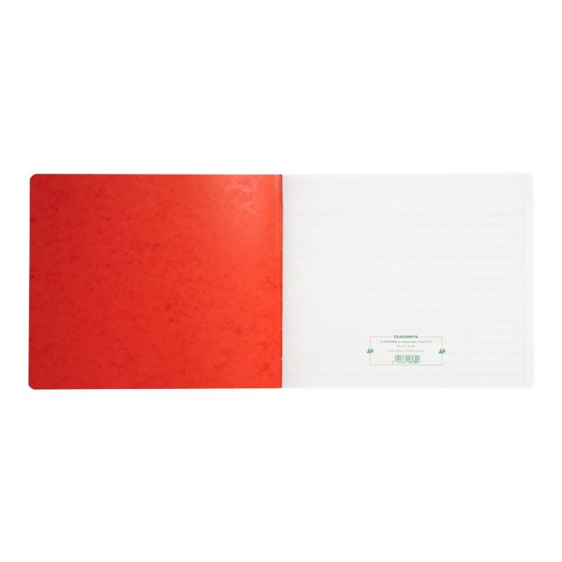 3130632161309-Exacompta - Piqûre tête paresseuse - 13 colonnes par page - 27 x 32 cm-P_16130_3-1