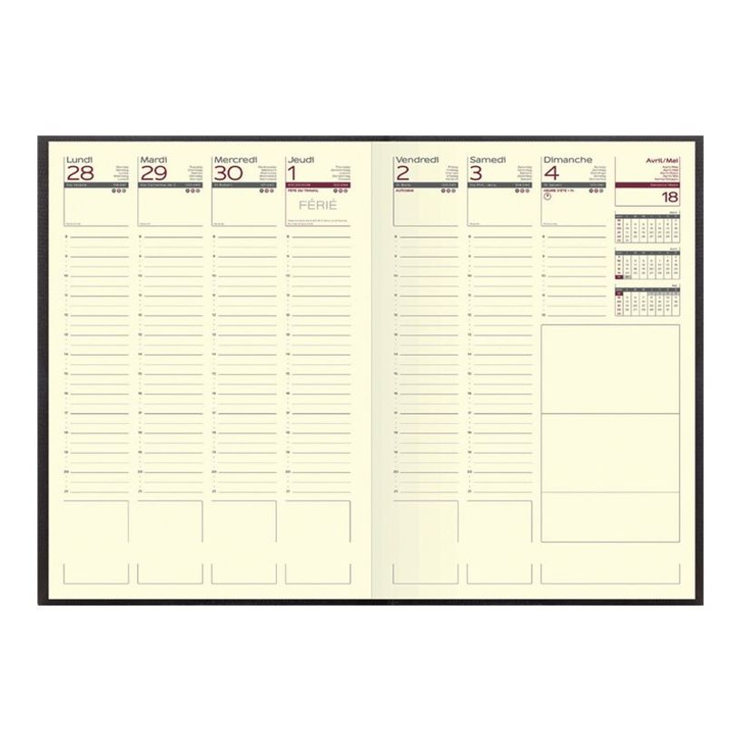 3147281211309-Agenda Lecas Lézard - 1 semaine sur 2 pages - 21 x 27 cm - disponible dans différentes coule-P_21130_1-1