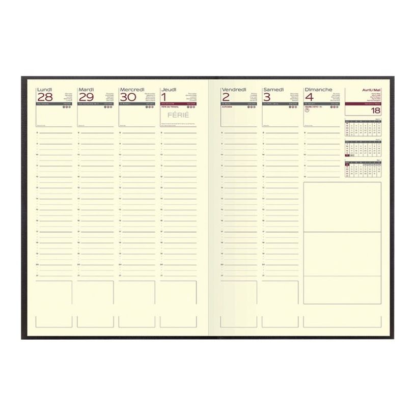 3147281211316-Agenda Lecas Lézard - 1 semaine sur 2 pages - 16 x 24 cm - disponible dans différentes coule-P_21131_1-3