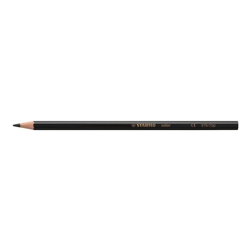 3168070212185-STABILO Color - 12 Crayons de couleur-P_21218_5-6