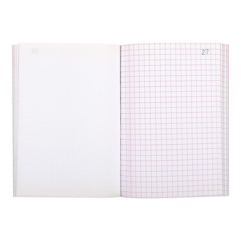 3130639032411-Exacompta - 5 Manifolds quadrillés 5x5 - 50 tripli - 15 x 10,5 cm-P_53241_4-2