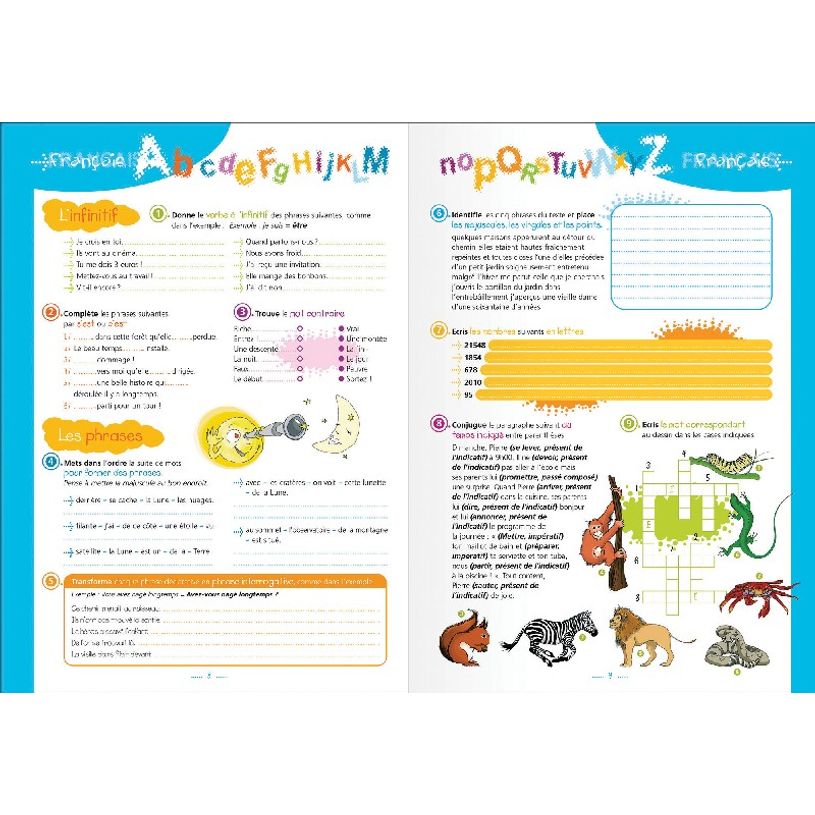 3147281911209-Cahier de textes Oxford Funny Pets - Megatext® - 15 x 21 cm - différents modèles disponibl-P_91120_15-9