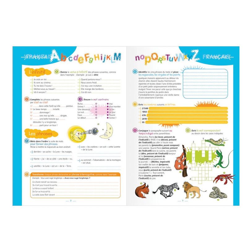 3147281911209-Cahier de textes Oxford Funny Pets - Megatext® - 15 x 21 cm - différents modèles disponibl-P_91120_3-11