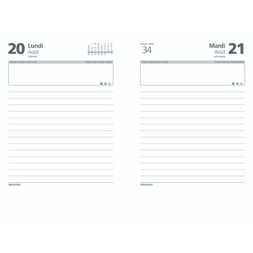 3147281941305-Agenda Lecas Classique - 1 jour par page - 12 x 18 cm - différents modèles disponibles-P_94130_8-6