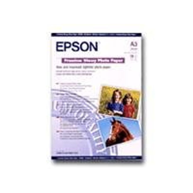0010343819788-Epson Premium - Papier photo - A3 - 255 g/m² - 20 feuilles-P_1045034_4-2