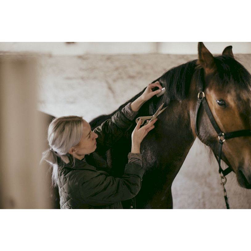 6424002013280-Ciseaux Recyclés 21 cm - Fiskars--2