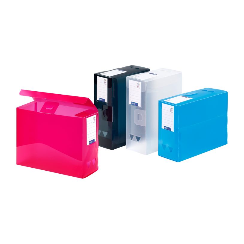 3135251166834-Viquel Propyglass - Boîte de classement plastique - dos 120 mm - disponible dans différente-P_116683_1-0