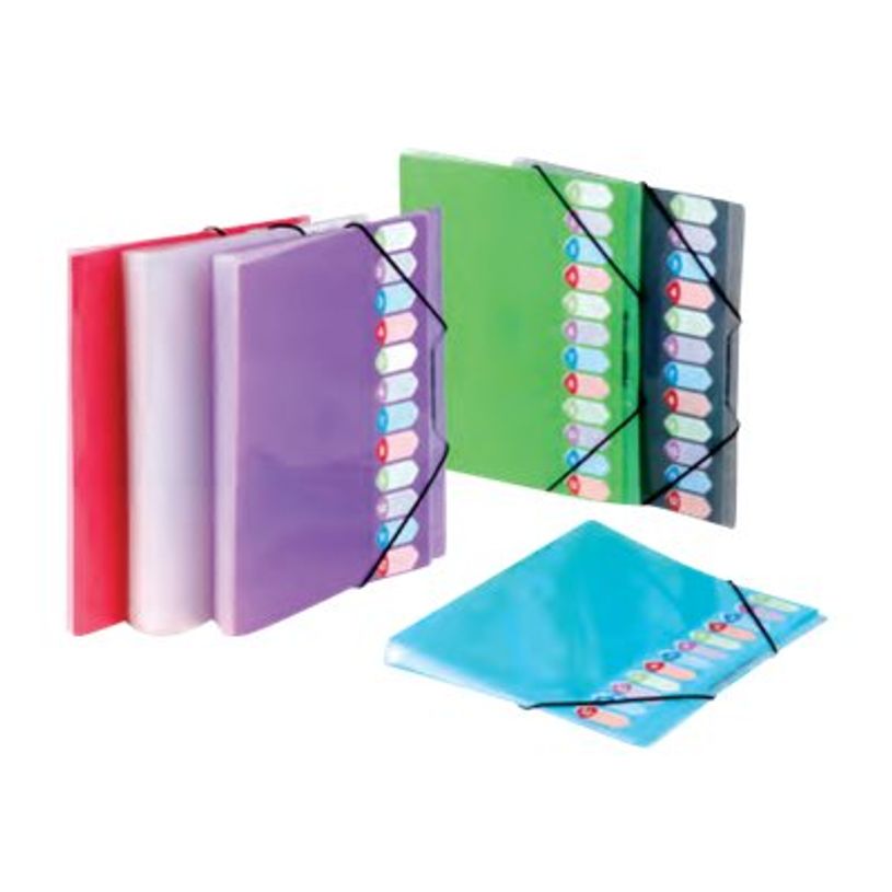 3135251189833-Viquel Propyglass - Trieur 12 positions - disponible dans différentes couleurs-P_118983_1-0