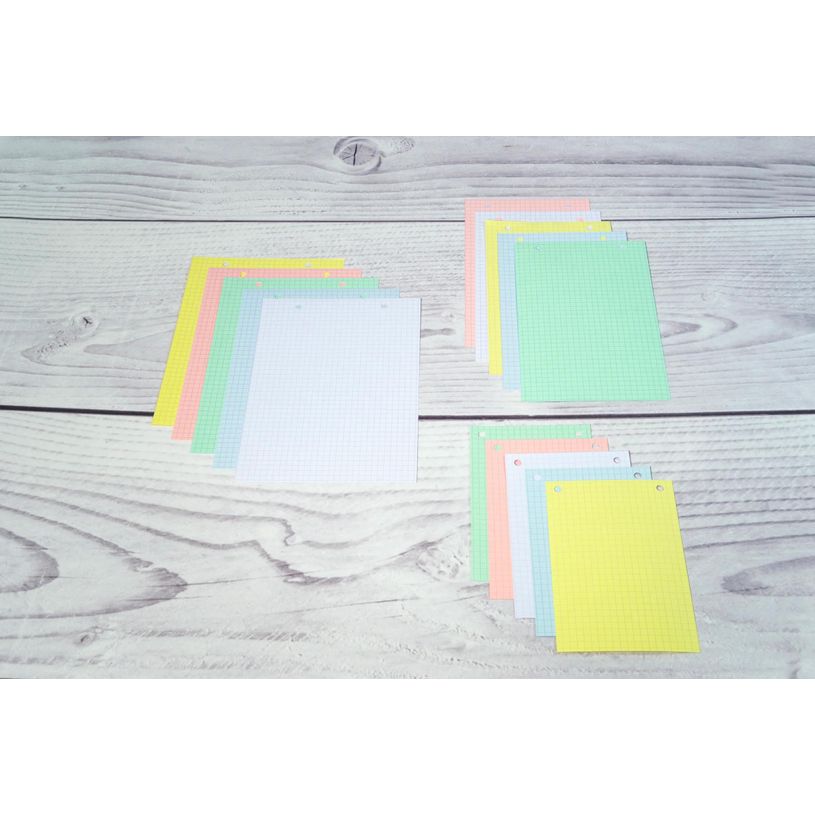 3130631136599-Exacompta - Pack de 100 Fiches Bristol - 10,5 x 14,8 cm - petits carreaux - perforées - couleurs assor--1