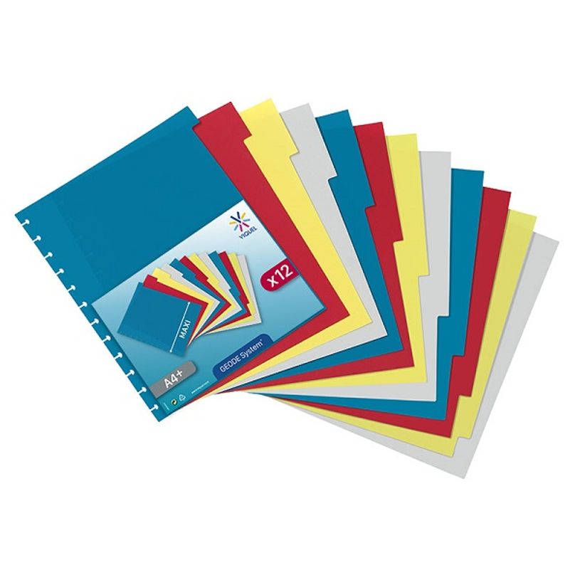 3135251527871-Viquel Geode - Intercalaire repositionnable 12 positions - A4 Maxi - polypropylène coloré-P_152787_2-1