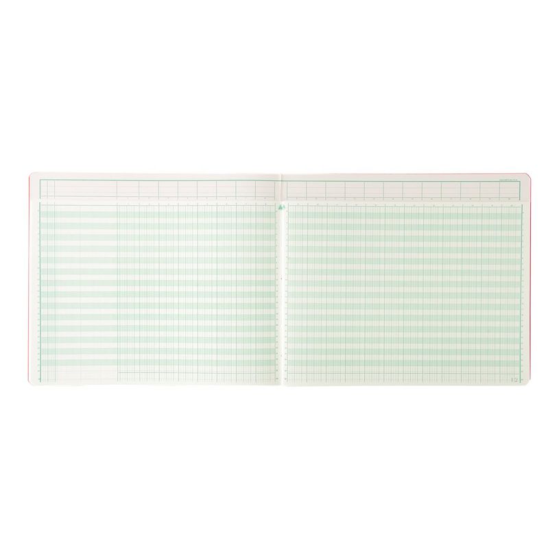 3130632162009-Exacompta - Piqûre tête paresseuse - 20 colonnes sur 2 pages - 27 x 32 cm-P_162000_2-1