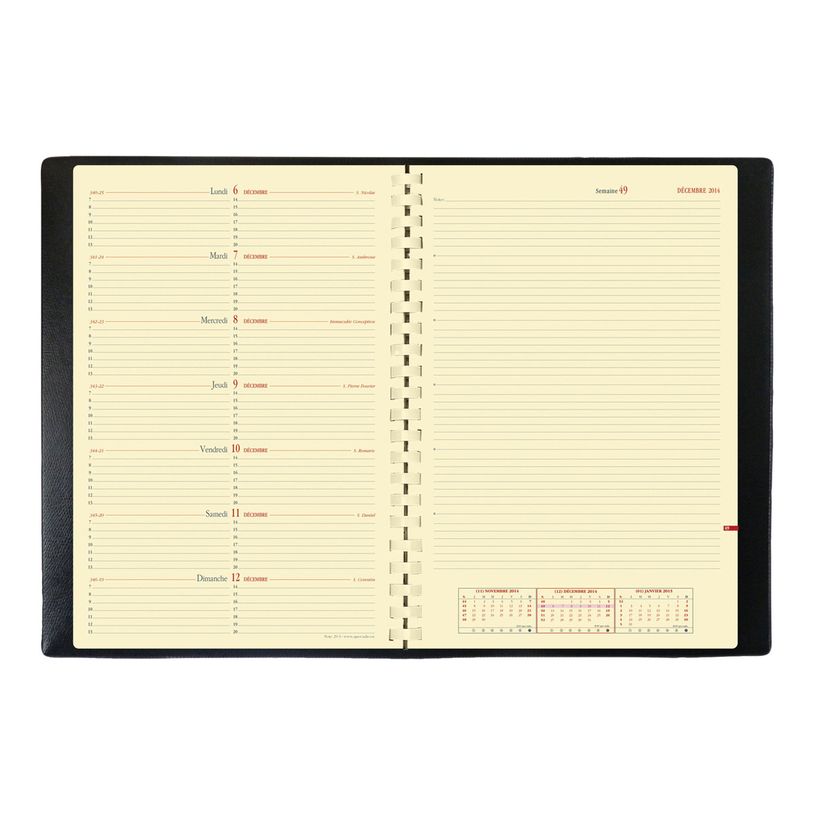 3371010161539-Quo Vadis - Agenda spiralé Impala Note 29 avec répertoire - 1 semaine sur 2 pages - 21 x 29-P_184104_4-4