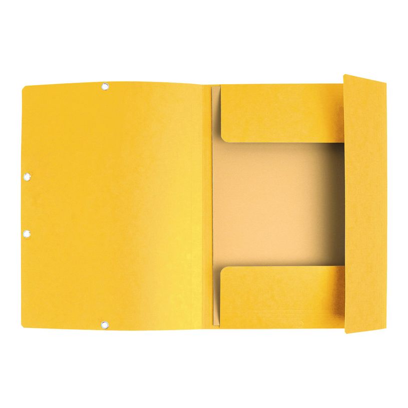 3130632553098-Exacompta Nature Future - 10 Chemises à 3 rabats - A4 - pour 250 feuilles - jaune-P_1855309_2-1