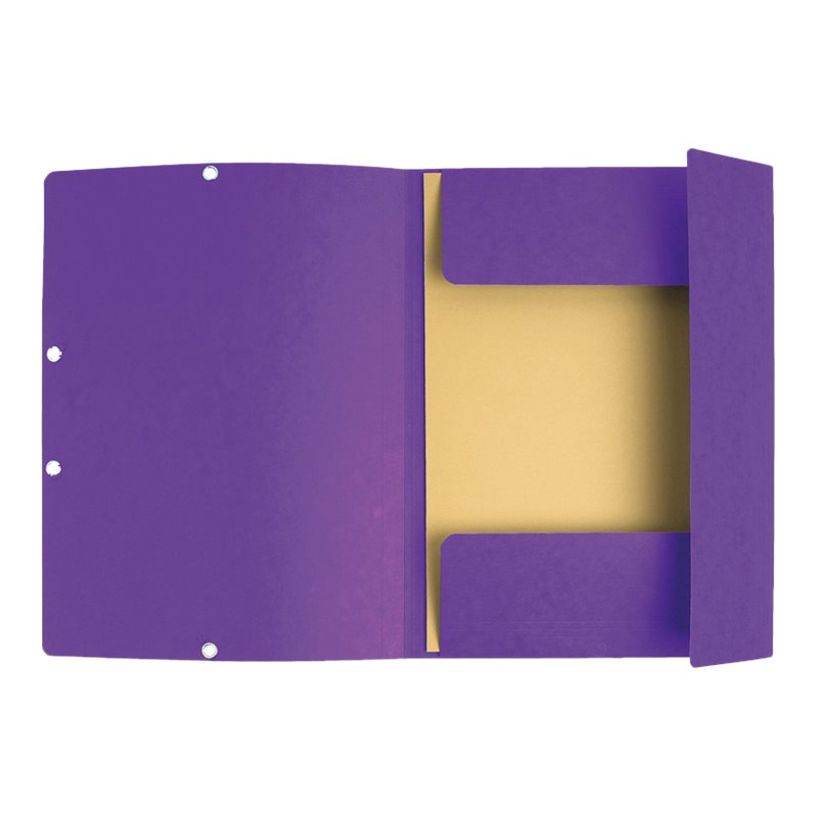 0000018555080-Exacompta Nature Future - Chemise à 3 rabats - A4 - pour 250 feuilles - violet-P_1855508_2-1