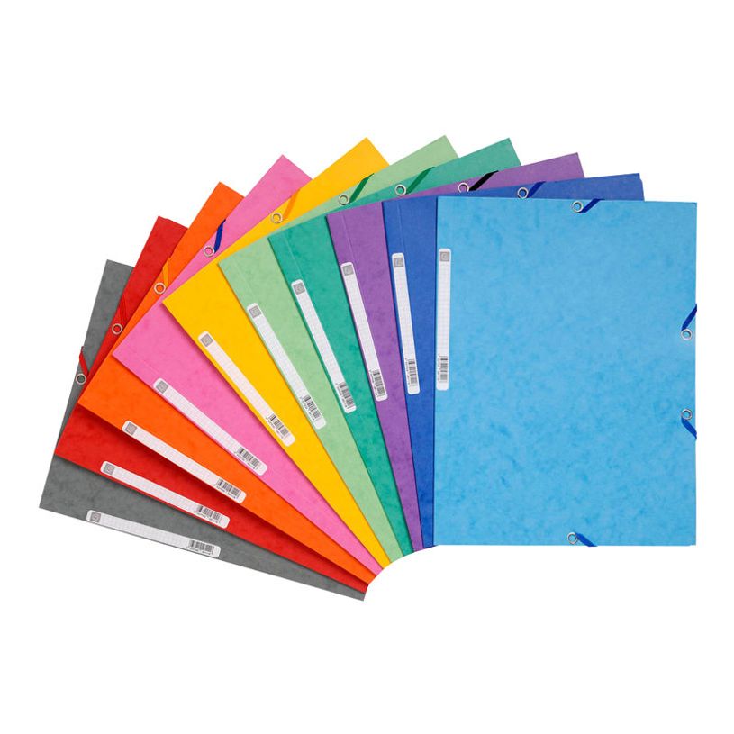 3130630555100-Exacompta Nature Future - 10 Chemises à 3 rabats - A4 - pour 250 feuilles - couleurs vives -P_1855510_3-2