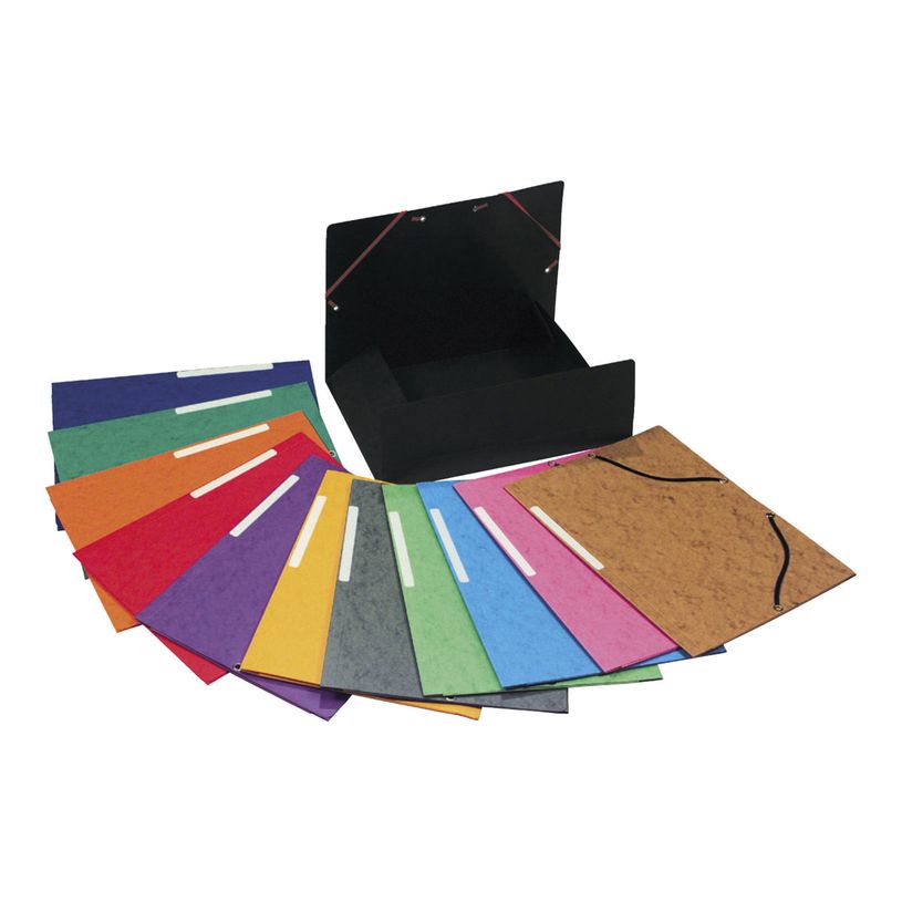 3130630555100-Exacompta Nature Future - 10 Chemises à 3 rabats - A4 - pour 250 feuilles - couleurs vives -P_1855510_4-3